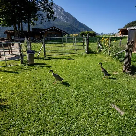 Lejlighed Gaestehaus Hinterponholz *