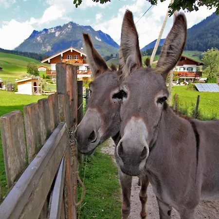 Gaestehaus Hinterponholz Ramsau bei Berchtesgaden